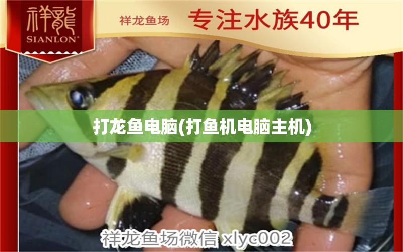 打龍魚(yú)電腦(打魚(yú)機(jī)電腦主機(jī)) 細(xì)線銀版魚(yú)