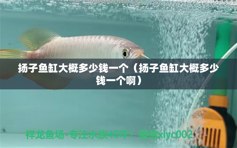 揚子魚缸大概多少錢一個（揚子魚缸大概多少錢一個?。?其他品牌魚缸