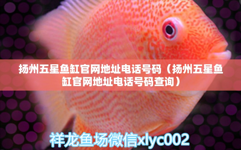 揚(yáng)州五星魚(yú)缸官網(wǎng)地址電話號(hào)碼（揚(yáng)州五星魚(yú)缸官網(wǎng)地址電話號(hào)碼查詢）