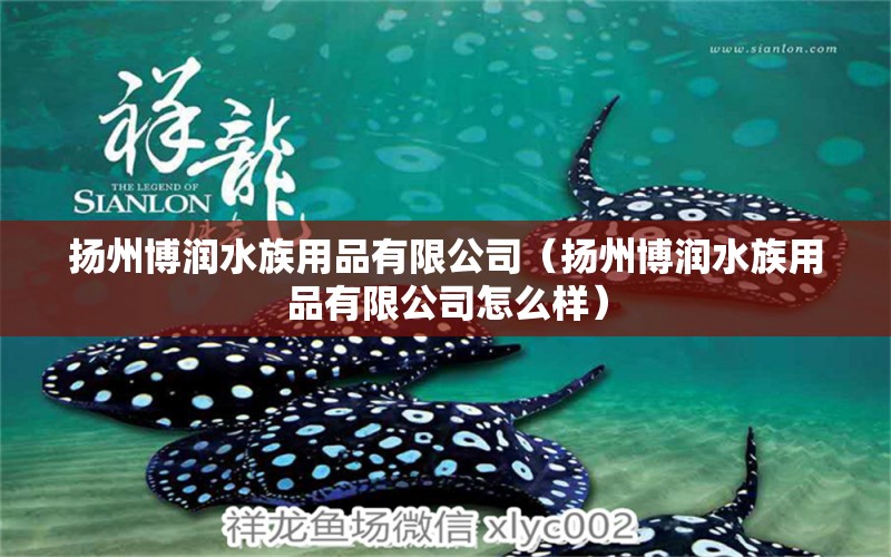 揚州博潤水族用品有限公司（揚州博潤水族用品有限公司怎么樣） 水族用品