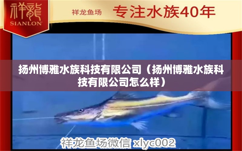 揚(yáng)州博雅水族科技有限公司（揚(yáng)州博雅水族科技有限公司怎么樣）