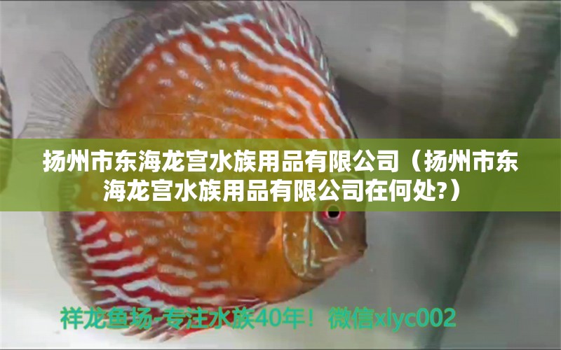 揚州市東海龍宮水族用品有限公司（揚州市東海龍宮水族用品有限公司在何處?） 水族用品