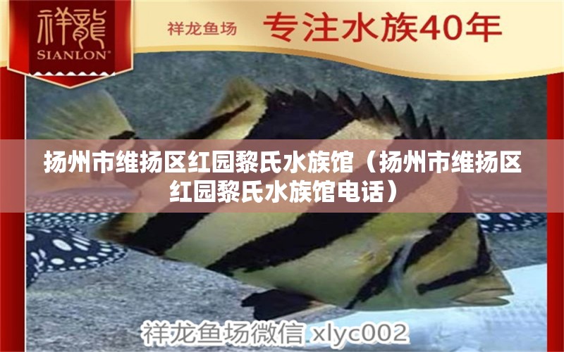 揚(yáng)州市維揚(yáng)區(qū)紅園黎氏水族館（揚(yáng)州市維揚(yáng)區(qū)紅園黎氏水族館電話）