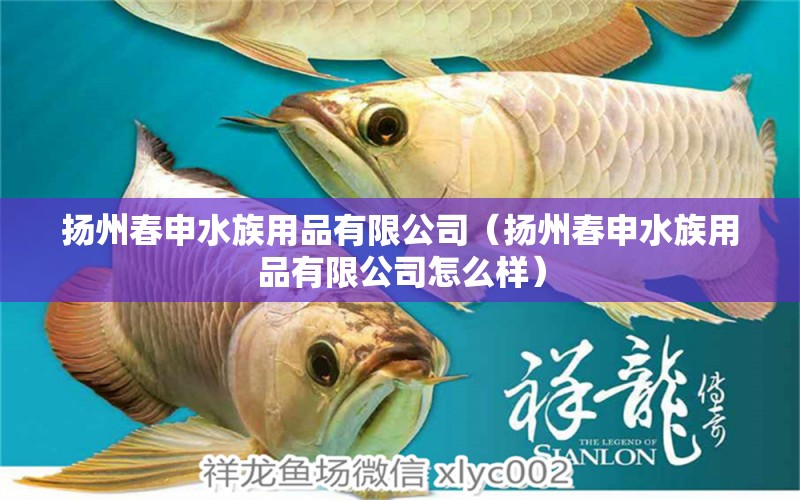 揚州春申水族用品有限公司（揚州春申水族用品有限公司怎么樣） 水族用品