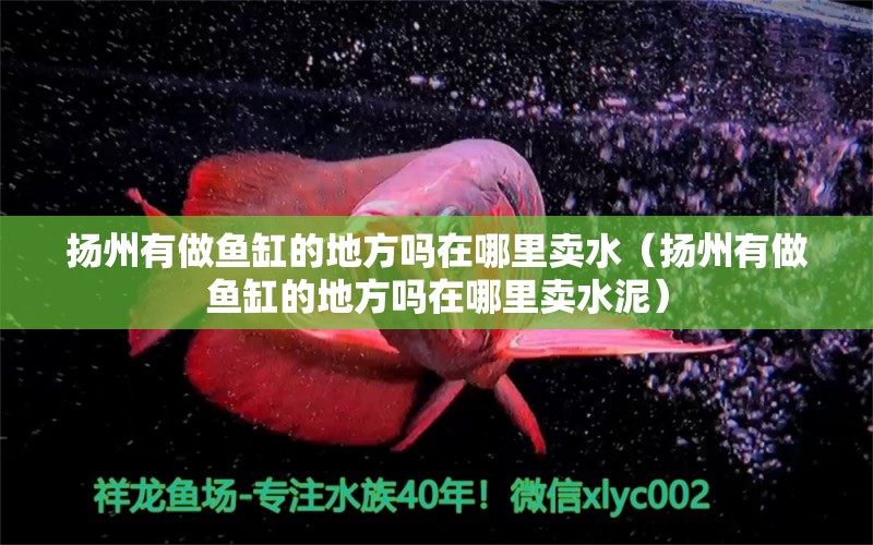 揚(yáng)州有做魚缸的地方嗎在哪里賣水（揚(yáng)州有做魚缸的地方嗎在哪里賣水泥） 其他品牌魚缸