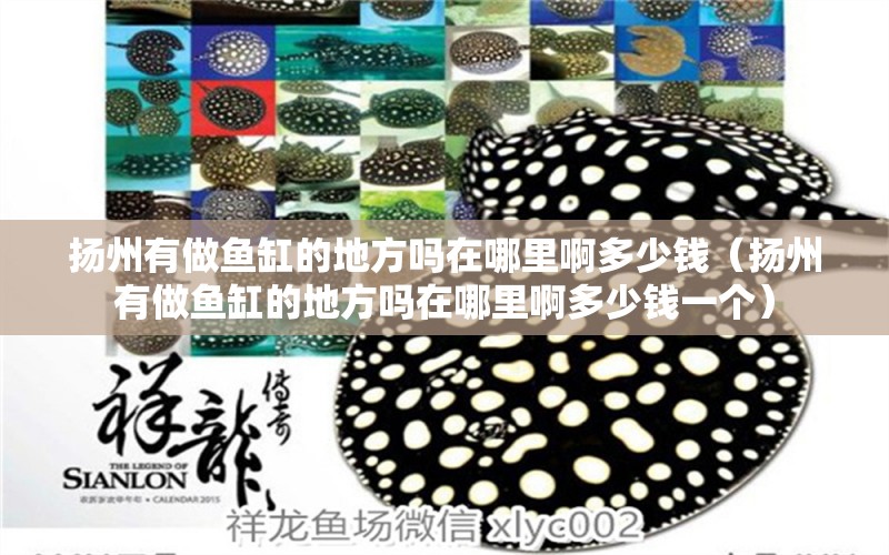 揚(yáng)州有做魚缸的地方嗎在哪里啊多少錢（揚(yáng)州有做魚缸的地方嗎在哪里啊多少錢一個(gè)）