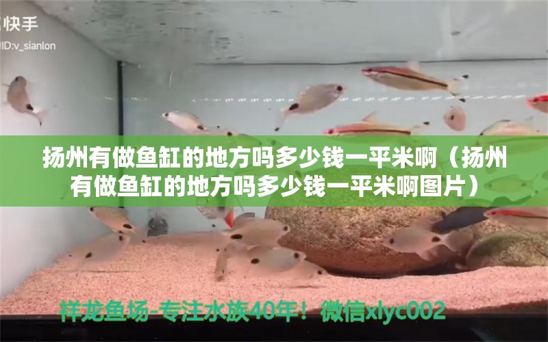 揚州有做魚缸的地方嗎多少錢一平米?。〒P州有做魚缸的地方嗎多少錢一平米啊圖片） 其他品牌魚缸