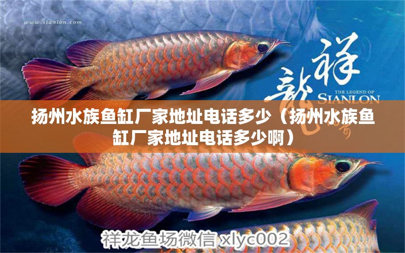 揚州水族魚缸廠家地址電話多少（揚州水族魚缸廠家地址電話多少?。? title=