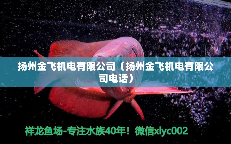 揚州金飛機電有限公司（揚州金飛機電有限公司電話） 全國水族館企業(yè)名錄