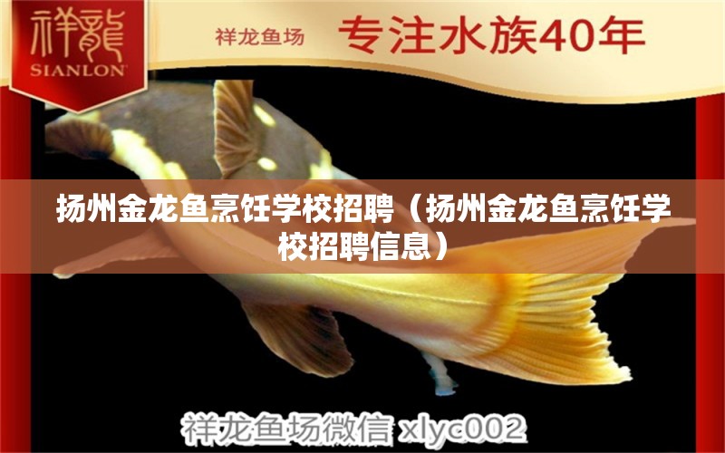 揚州金龍魚烹飪學校招聘（揚州金龍魚烹飪學校招聘信息）