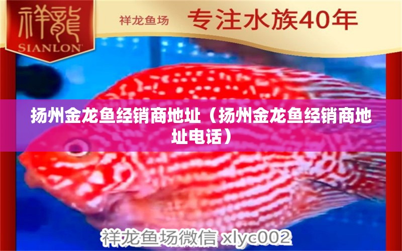 揚(yáng)州金龍魚經(jīng)銷商地址（揚(yáng)州金龍魚經(jīng)銷商地址電話）