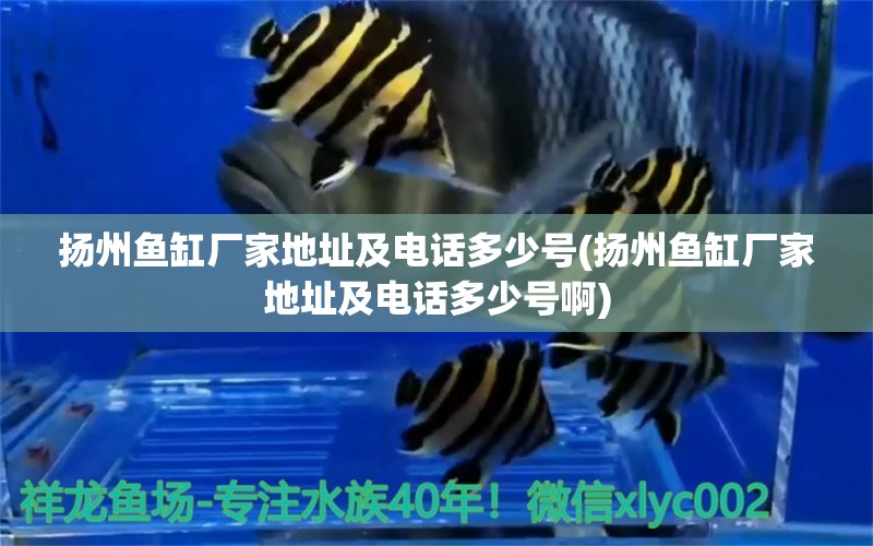 揚(yáng)州魚(yú)缸廠(chǎng)家地址及電話(huà)多少號(hào)(揚(yáng)州魚(yú)缸廠(chǎng)家地址及電話(huà)多少號(hào)啊) 蝴蝶鯉魚(yú)苗