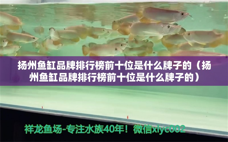 揚(yáng)州魚缸品牌排行榜前十位是什么牌子的（揚(yáng)州魚缸品牌排行榜前十位是什么牌子的）