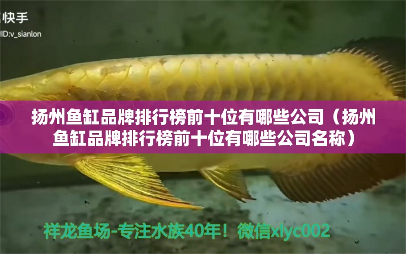 揚(yáng)州魚缸品牌排行榜前十位有哪些公司（揚(yáng)州魚缸品牌排行榜前十位有哪些公司名稱）