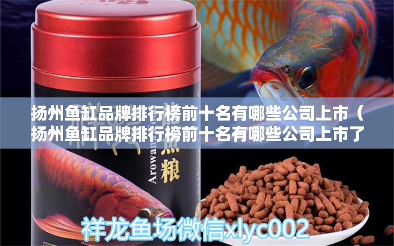 揚(yáng)州魚缸品牌排行榜前十名有哪些公司上市（揚(yáng)州魚缸品牌排行榜前十名有哪些公司上市了）