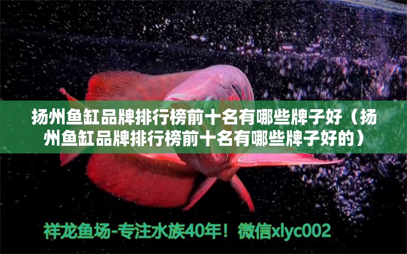 揚(yáng)州魚缸品牌排行榜前十名有哪些牌子好（揚(yáng)州魚缸品牌排行榜前十名有哪些牌子好的） 其他品牌魚缸