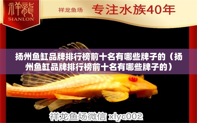 揚(yáng)州魚(yú)缸品牌排行榜前十名有哪些牌子的（揚(yáng)州魚(yú)缸品牌排行榜前十名有哪些牌子的） 其他品牌魚(yú)缸