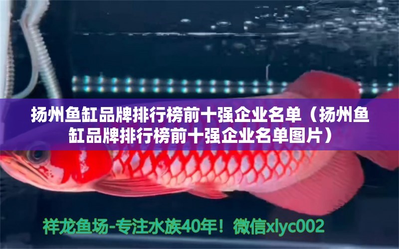 揚州魚缸品牌排行榜前十強企業(yè)名單（揚州魚缸品牌排行榜前十強企業(yè)名單圖片）