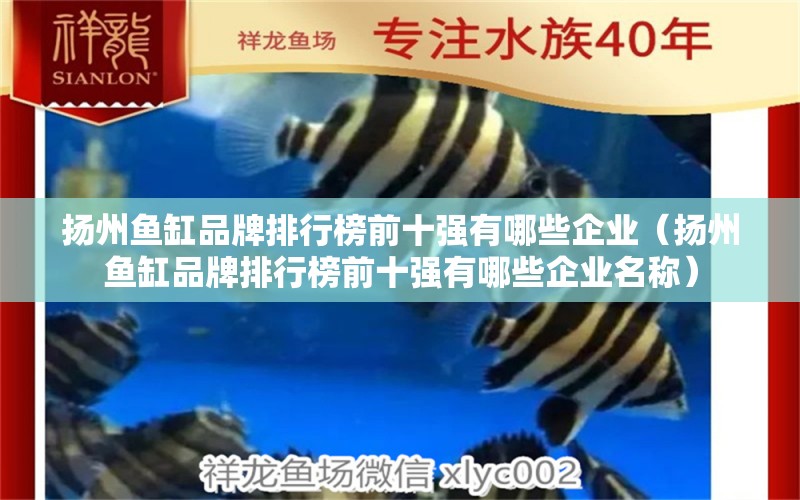 揚(yáng)州魚缸品牌排行榜前十強(qiáng)有哪些企業(yè)（揚(yáng)州魚缸品牌排行榜前十強(qiáng)有哪些企業(yè)名稱）