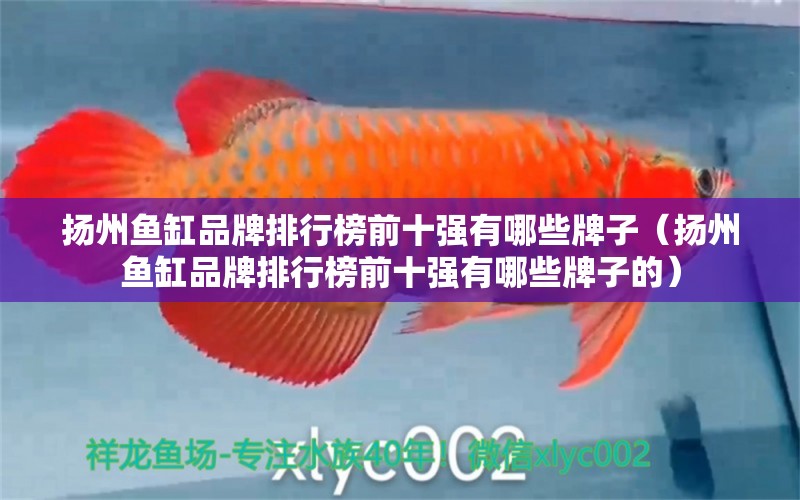 揚州魚缸品牌排行榜前十強有哪些牌子（揚州魚缸品牌排行榜前十強有哪些牌子的） 其他品牌魚缸