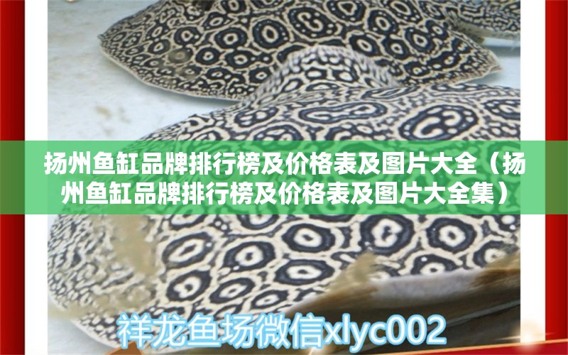 揚(yáng)州魚缸品牌排行榜及價格表及圖片大全（揚(yáng)州魚缸品牌排行榜及價格表及圖片大全集）