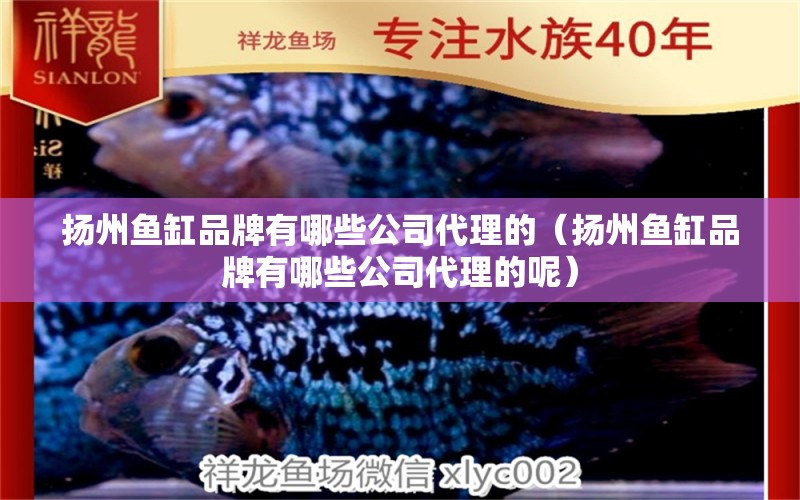 揚(yáng)州魚(yú)缸品牌有哪些公司代理的（揚(yáng)州魚(yú)缸品牌有哪些公司代理的呢）