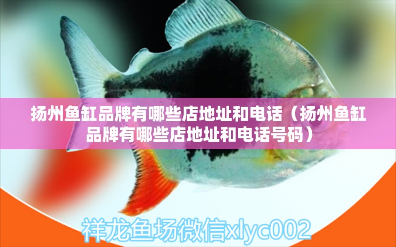 揚州魚缸品牌有哪些店地址和電話（揚州魚缸品牌有哪些店地址和電話號碼）