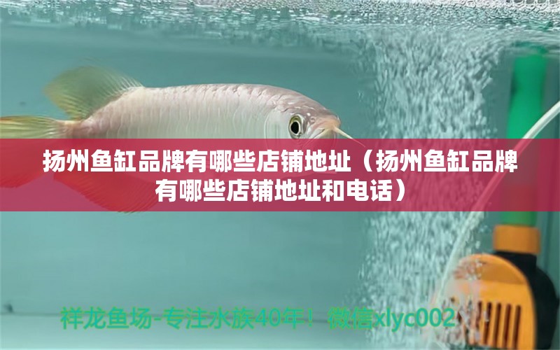 揚(yáng)州魚缸品牌有哪些店鋪地址（揚(yáng)州魚缸品牌有哪些店鋪地址和電話）