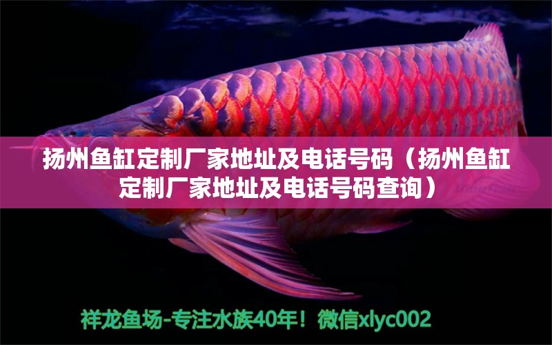 揚州魚缸定制廠家地址及電話號碼（揚州魚缸定制廠家地址及電話號碼查詢）