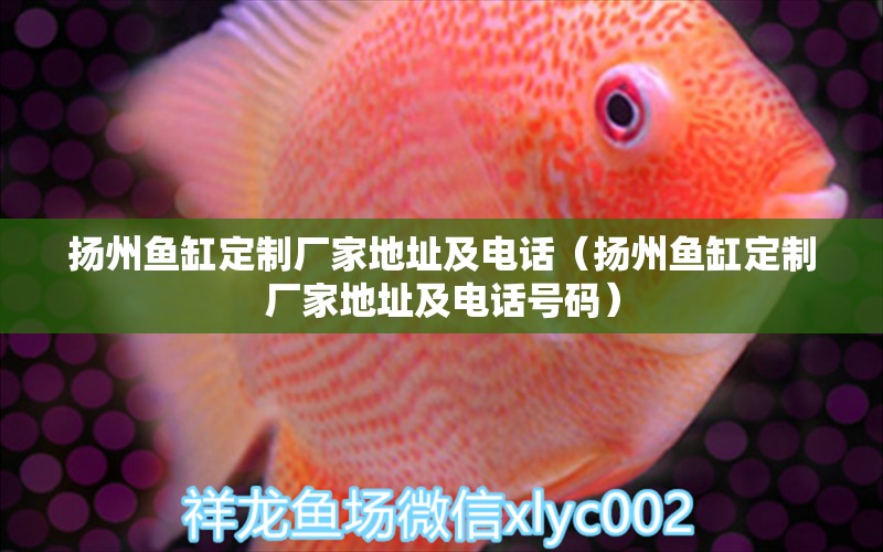 揚州魚缸定制廠家地址及電話（揚州魚缸定制廠家地址及電話號碼）