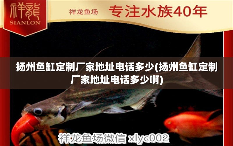 揚(yáng)州魚缸定制廠家地址電話多少(揚(yáng)州魚缸定制廠家地址電話多少啊)