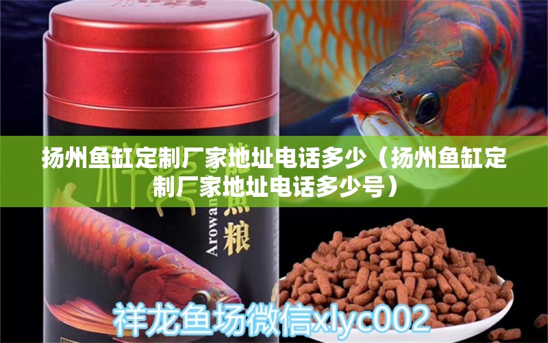 揚(yáng)州魚缸定制廠家地址電話多少（揚(yáng)州魚缸定制廠家地址電話多少號） 其他品牌魚缸