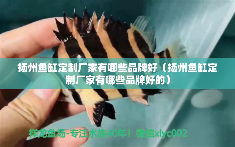 揚州魚缸定制廠家有哪些品牌好（揚州魚缸定制廠家有哪些品牌好的）