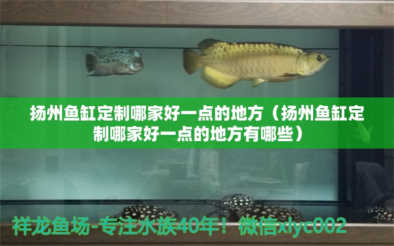 揚(yáng)州魚缸定制哪家好一點(diǎn)的地方（揚(yáng)州魚缸定制哪家好一點(diǎn)的地方有哪些）