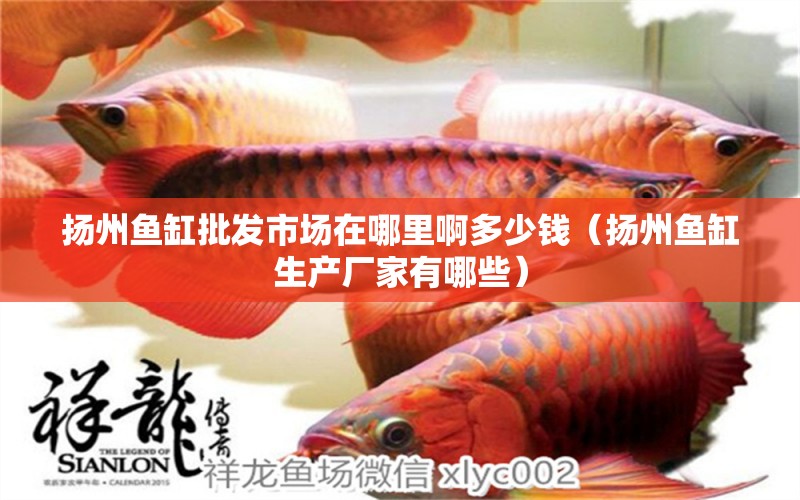 揚州魚缸批發(fā)市場在哪里啊多少錢（揚州魚缸生產(chǎn)廠家有哪些） 廣州觀賞魚批發(fā)市場