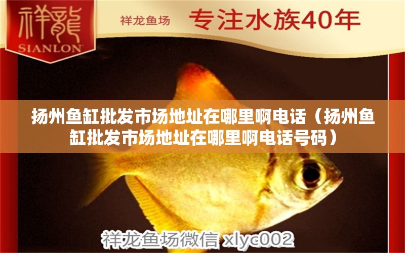 揚(yáng)州魚缸批發(fā)市場(chǎng)地址在哪里啊電話（揚(yáng)州魚缸批發(fā)市場(chǎng)地址在哪里啊電話號(hào)碼）