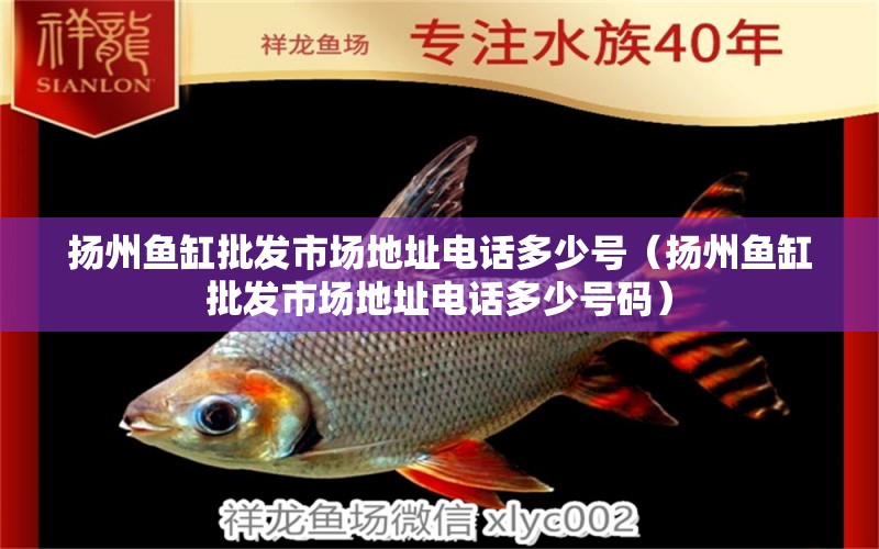 揚(yáng)州魚缸批發(fā)市場地址電話多少號（揚(yáng)州魚缸批發(fā)市場地址電話多少號碼） 其他品牌魚缸