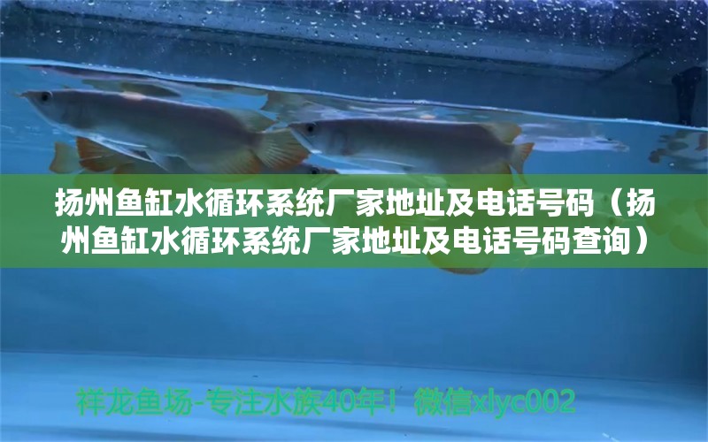 揚州魚缸水循環(huán)系統(tǒng)廠家地址及電話號碼（揚州魚缸水循環(huán)系統(tǒng)廠家地址及電話號碼查詢） 其他品牌魚缸