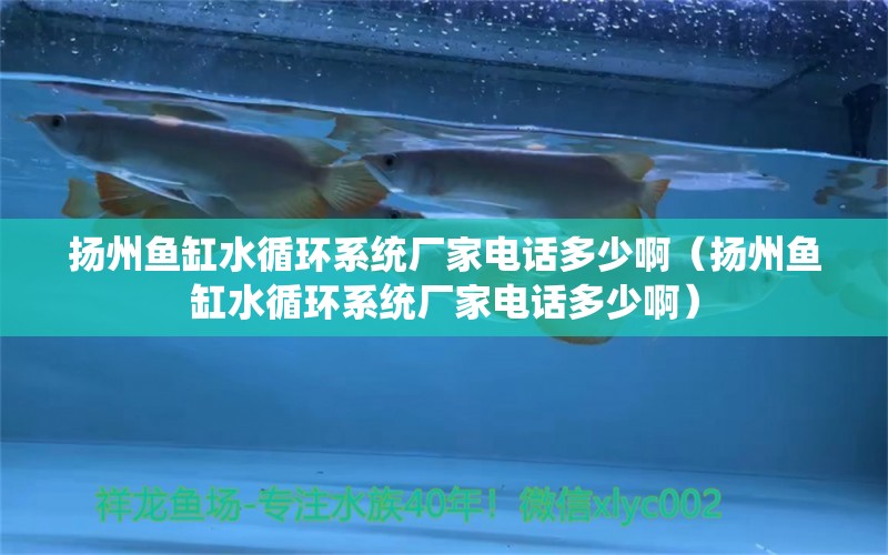 揚(yáng)州魚缸水循環(huán)系統(tǒng)廠家電話多少?。〒P(yáng)州魚缸水循環(huán)系統(tǒng)廠家電話多少?。? title=