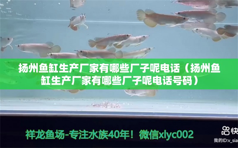 揚州魚缸生產(chǎn)廠家有哪些廠子呢電話（揚州魚缸生產(chǎn)廠家有哪些廠子呢電話號碼） 其他品牌魚缸