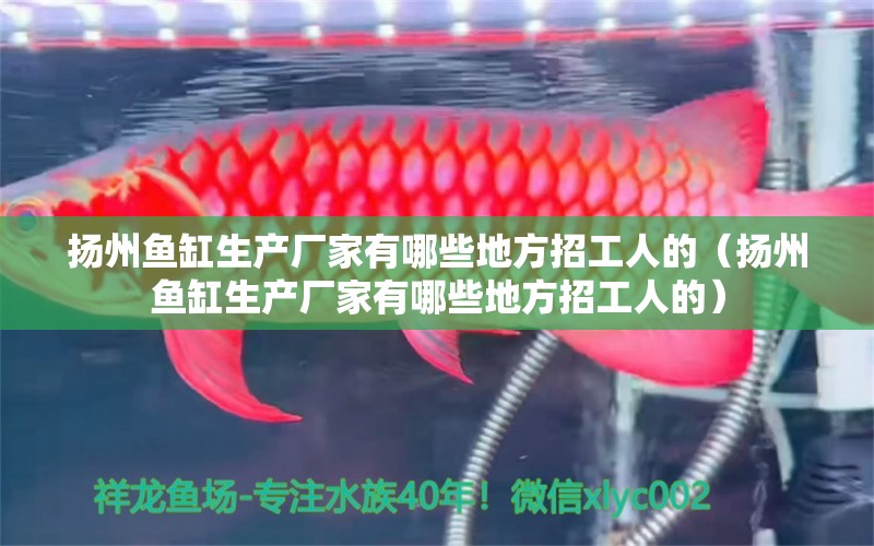 揚州魚缸生產(chǎn)廠家有哪些地方招工人的（揚州魚缸生產(chǎn)廠家有哪些地方招工人的）