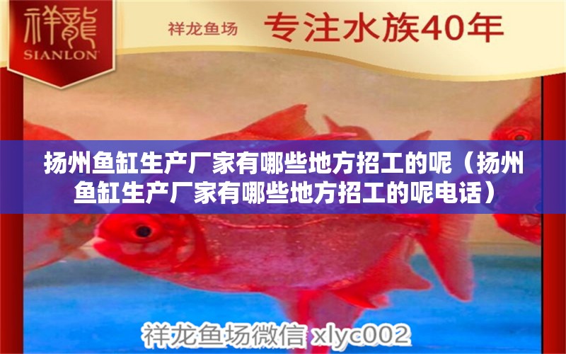 揚(yáng)州魚缸生產(chǎn)廠家有哪些地方招工的呢（揚(yáng)州魚缸生產(chǎn)廠家有哪些地方招工的呢電話） 其他品牌魚缸