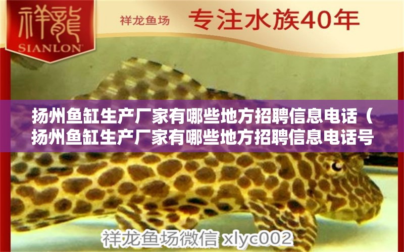 揚(yáng)州魚缸生產(chǎn)廠家有哪些地方招聘信息電話（揚(yáng)州魚缸生產(chǎn)廠家有哪些地方招聘信息電話號(hào)碼）