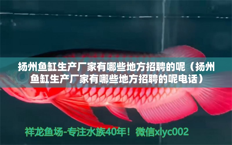 揚(yáng)州魚缸生產(chǎn)廠家有哪些地方招聘的呢（揚(yáng)州魚缸生產(chǎn)廠家有哪些地方招聘的呢電話） 其他品牌魚缸