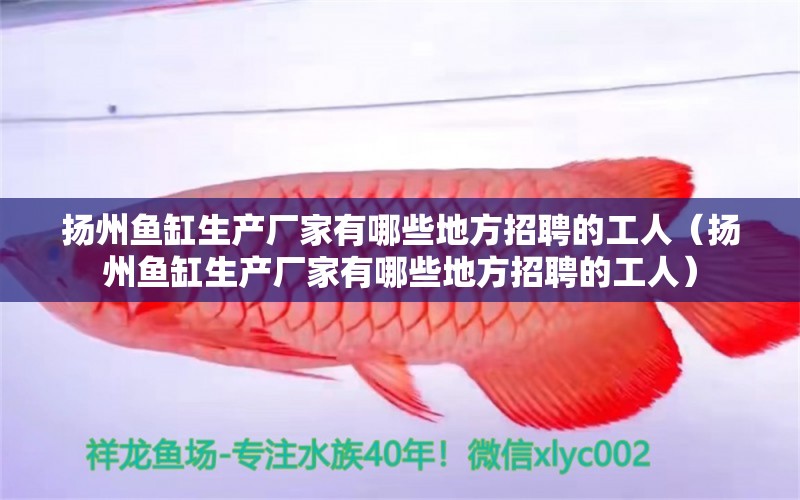 揚州魚缸生產(chǎn)廠家有哪些地方招聘的工人（揚州魚缸生產(chǎn)廠家有哪些地方招聘的工人） 其他品牌魚缸