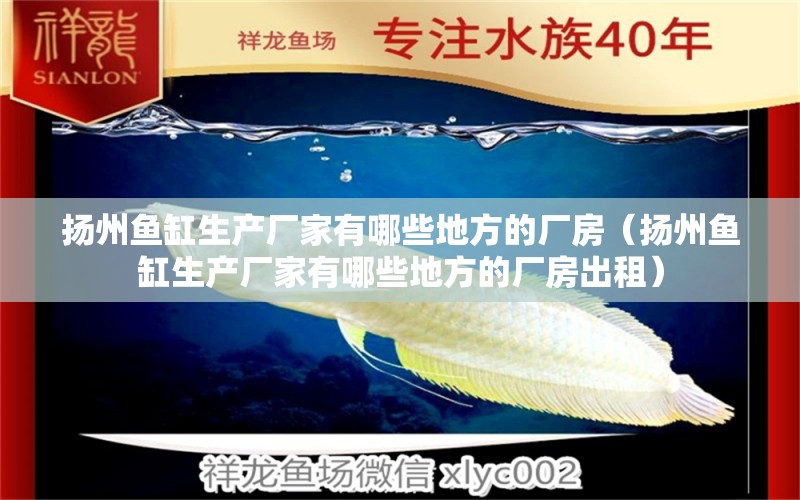 揚(yáng)州魚(yú)缸生產(chǎn)廠家有哪些地方的廠房（揚(yáng)州魚(yú)缸生產(chǎn)廠家有哪些地方的廠房出租） 其他品牌魚(yú)缸