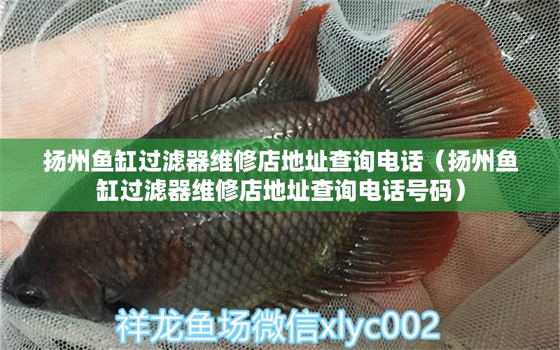 揚(yáng)州魚缸過濾器維修店地址查詢電話（揚(yáng)州魚缸過濾器維修店地址查詢電話號(hào)碼）