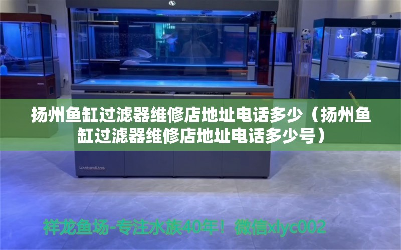 揚州魚缸過濾器維修店地址電話多少（揚州魚缸過濾器維修店地址電話多少號） 其他品牌魚缸