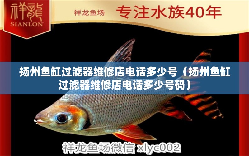 揚(yáng)州魚缸過濾器維修店電話多少號（揚(yáng)州魚缸過濾器維修店電話多少號碼）