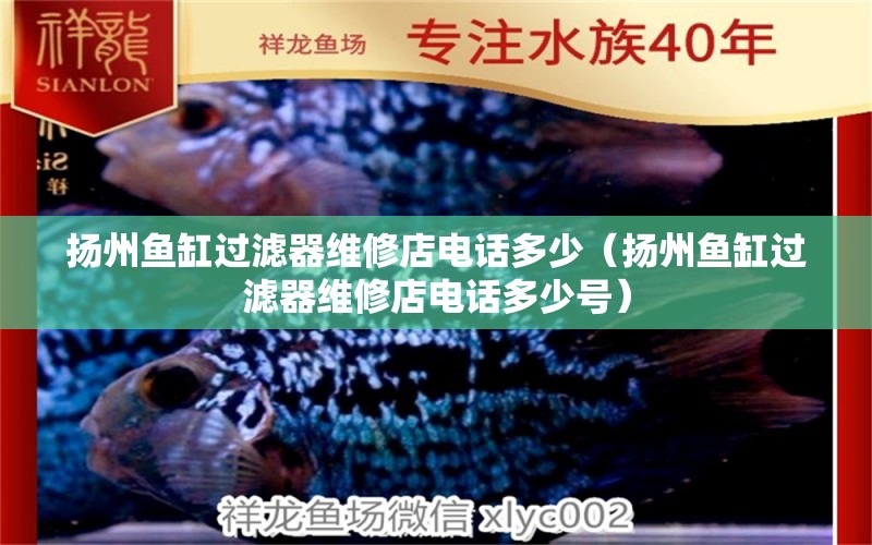 揚(yáng)州魚缸過濾器維修店電話多少（揚(yáng)州魚缸過濾器維修店電話多少號） 觀賞魚市場（混養(yǎng)魚）